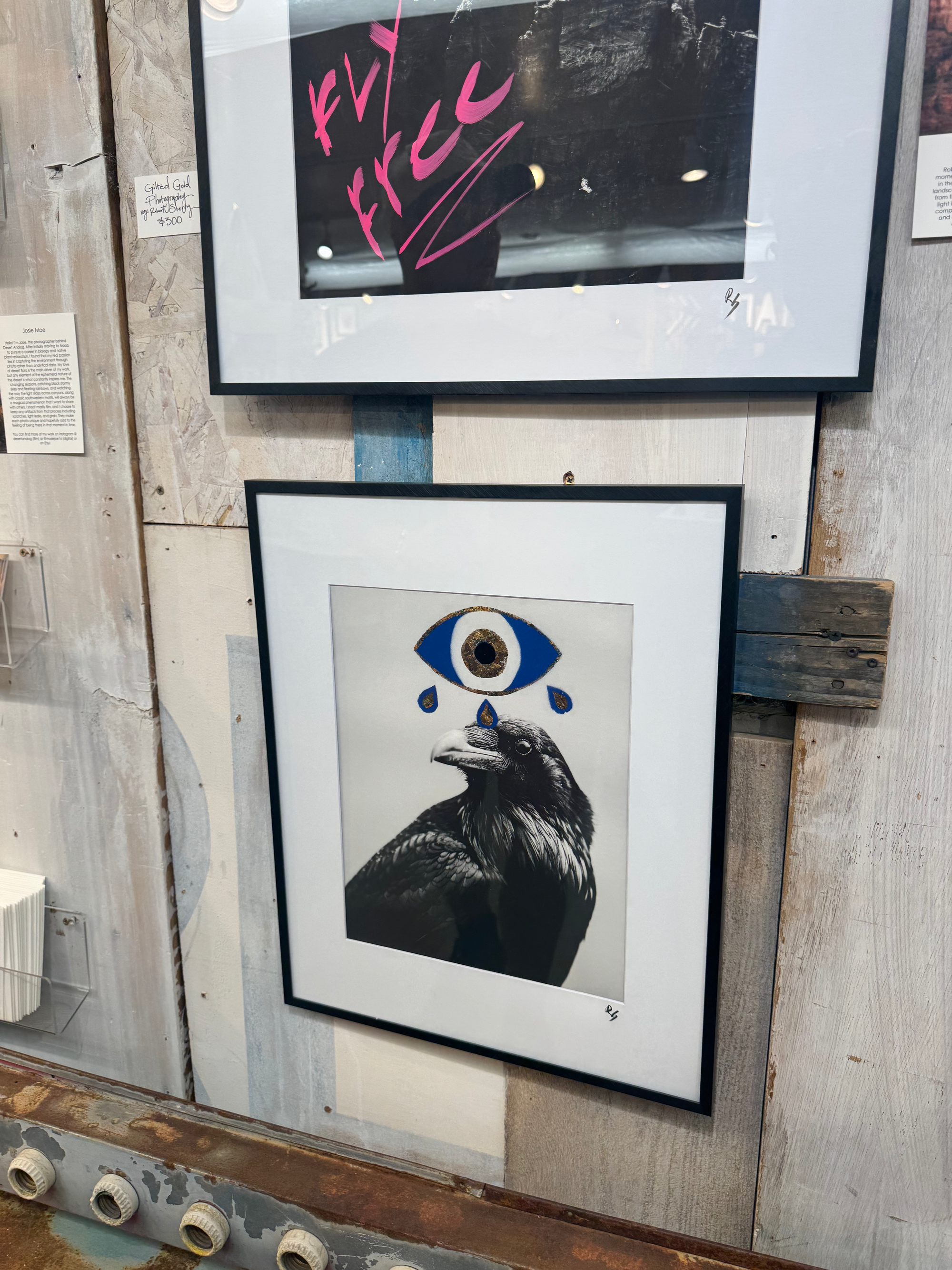 Photo of a black and white crow with a blue, white and gold eyeball painted above it at Moab Made in Moab, Utah