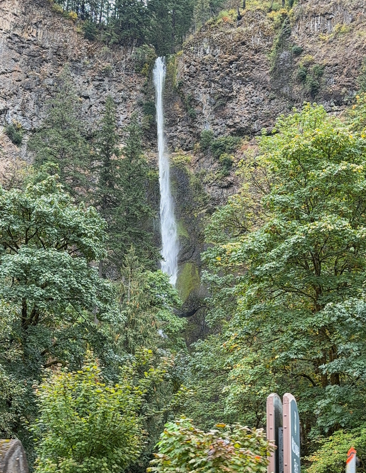 Lush green trees surrounding the area with Multnomah Falls in the background at the Columbia River Gorge in Oregon