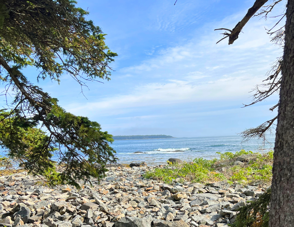 The Ultimate Guide to Roadtripping to Maine in the Fall