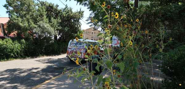 Day Trippin' to Jerome