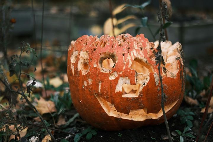 Pumpkin Spice and the Politics of Decay