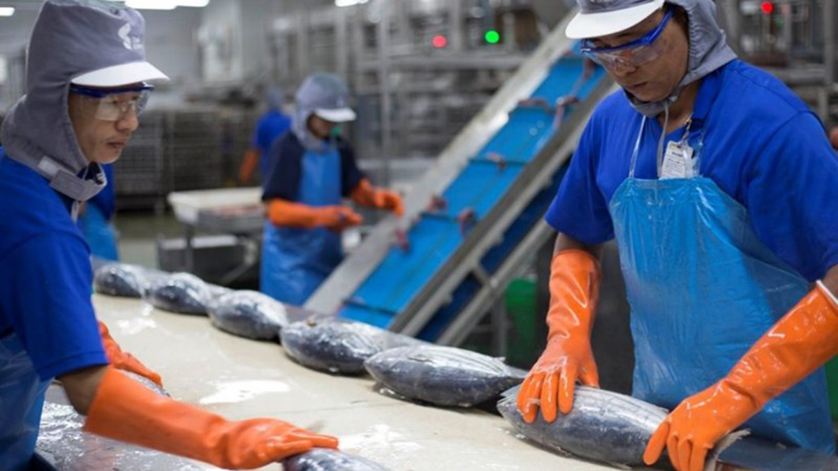 Embedding Sustainability into Seafood Value Chains: A Strategic Analysis of Thai Union 2024