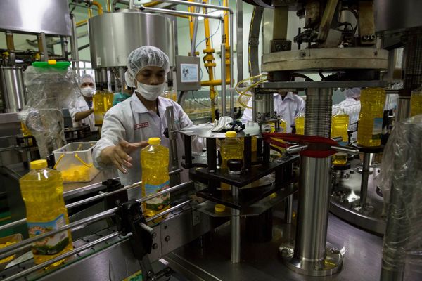Apical Sustainability Report 2025: From Traceability to Transition Readiness in the Palm Oil Value Chain