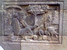 Veranda Tales-Arbitrating Monkey