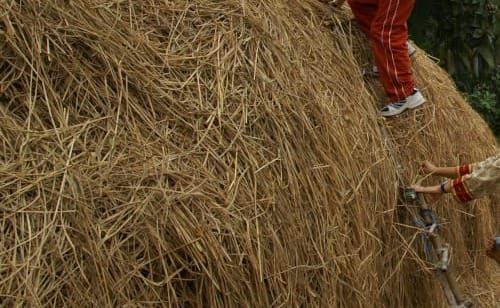 Veranda Tales-Needle in a haystack