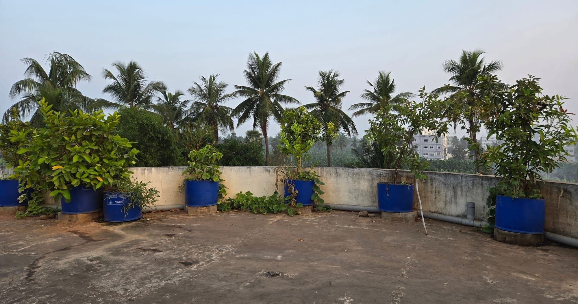 Veranda Tales-One size doesn’t fit all