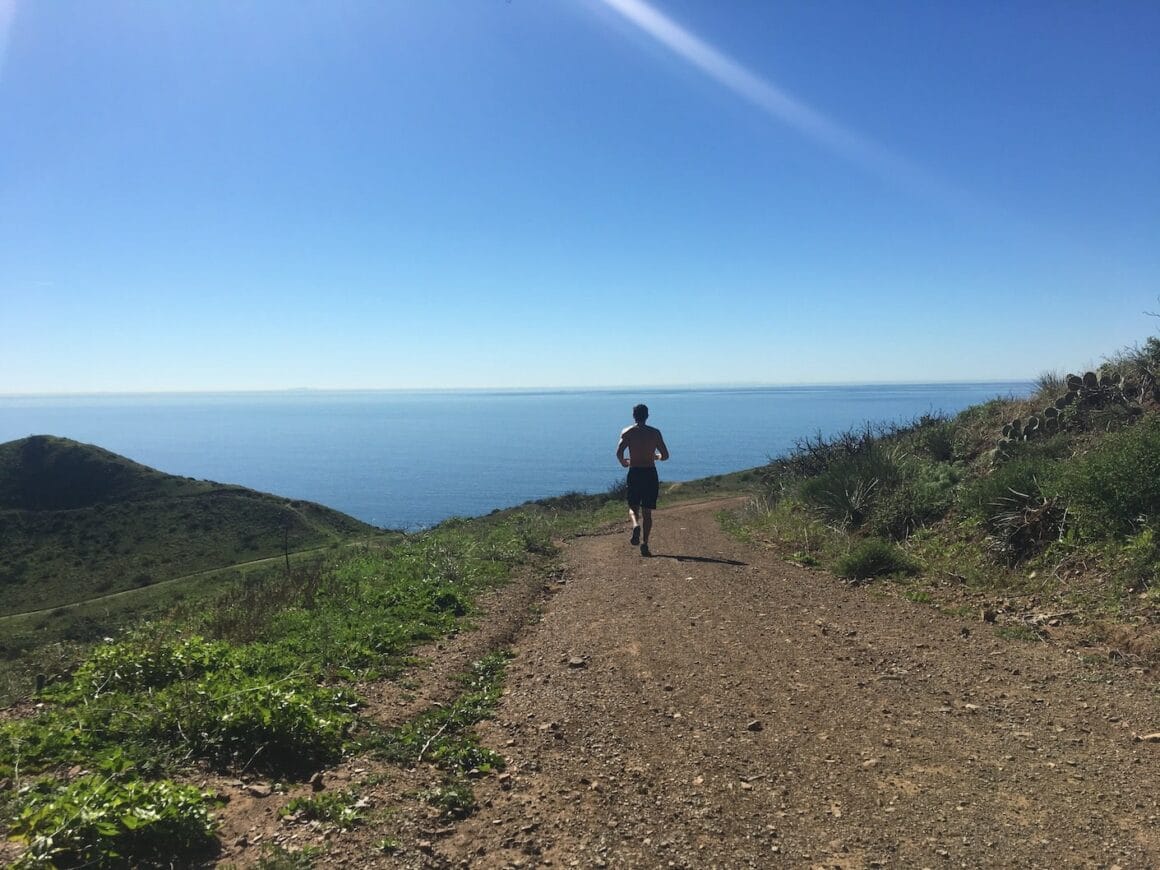 what i talk about when i talk about running | murakami