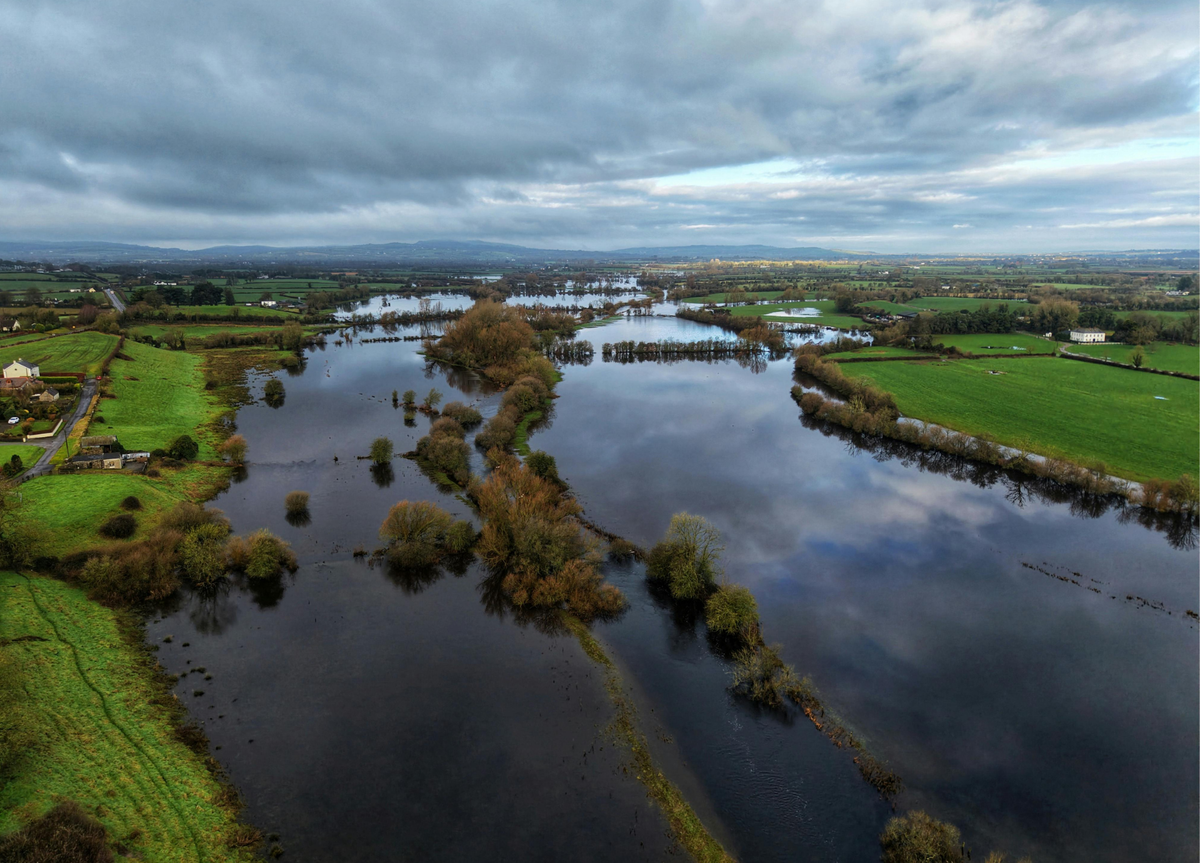 A tribe is buying farmland to flood it — on purpose