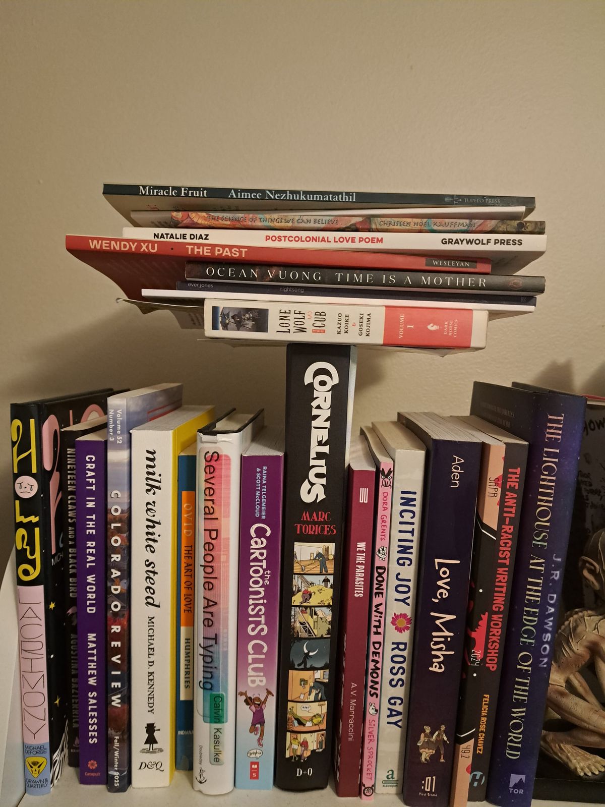 A collection of books including many of the ones listed here but not all. Includes some other books I read this year and last.