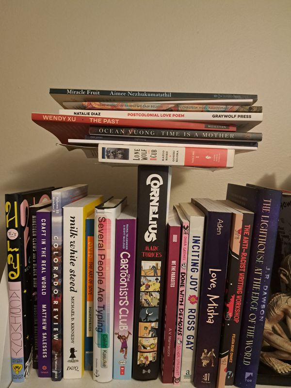 A collection of books including many of the ones listed here but not all. Includes some other books I read this year and last.