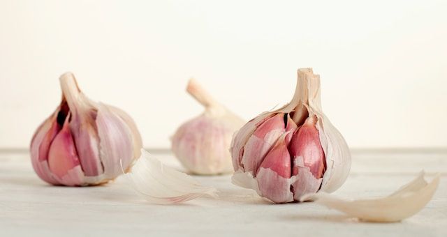 How to prevent insect bites naturally
