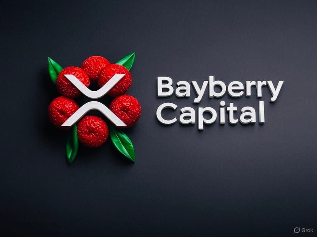 Why XRP Is Our Largest Holding