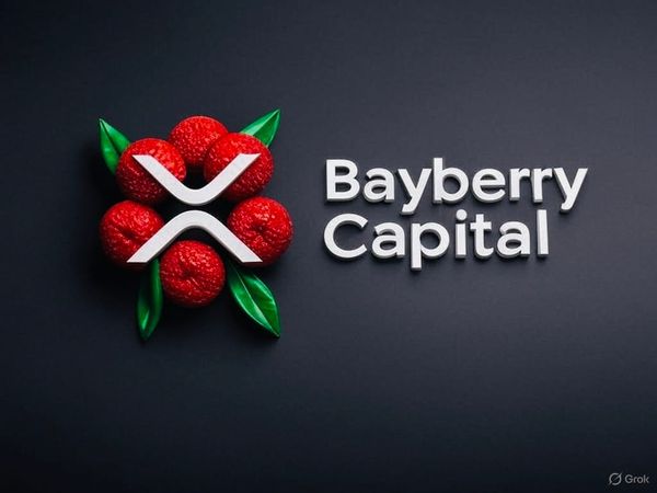 Why XRP Is Our Largest Holding