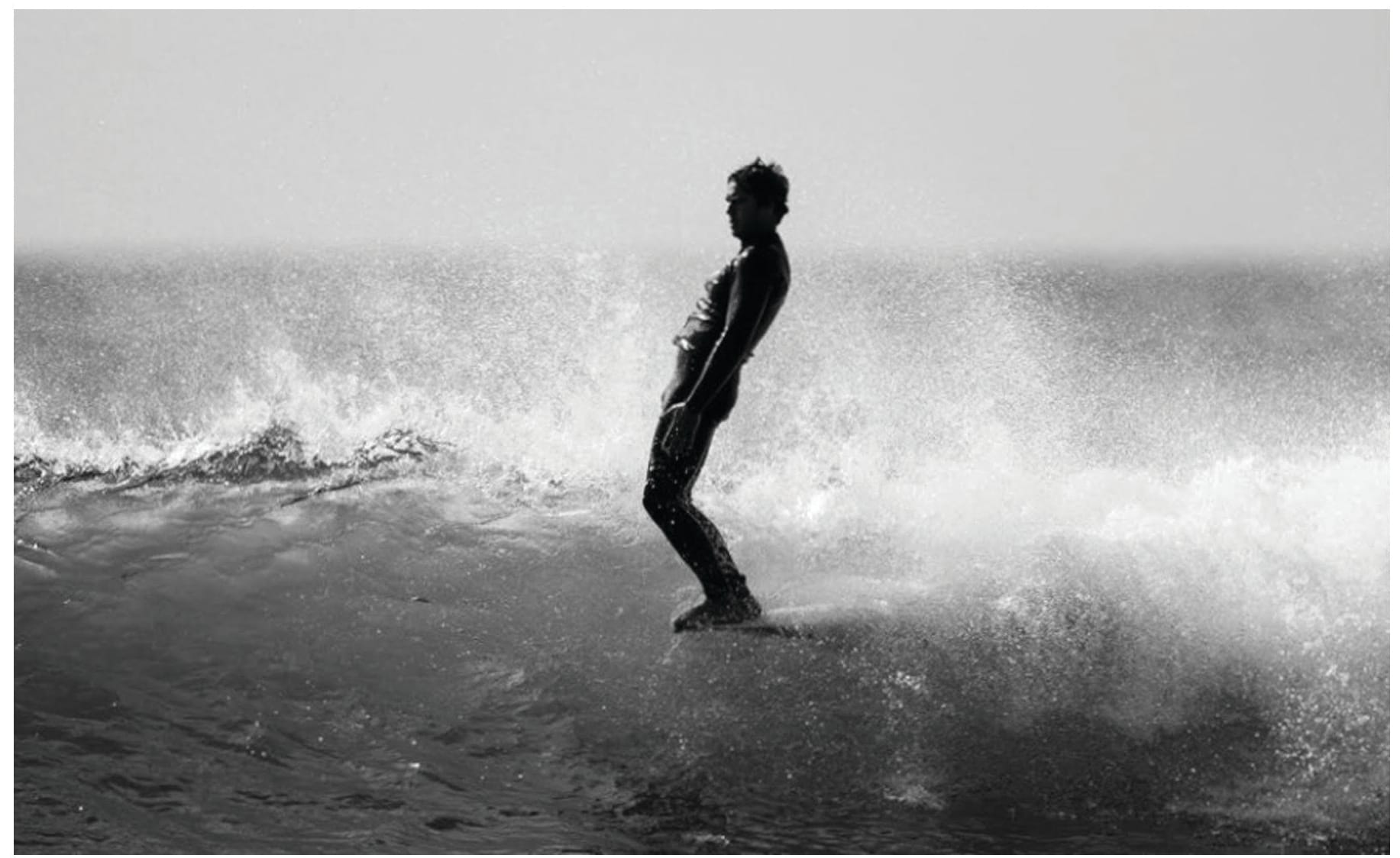 Longboard – it’s a classic