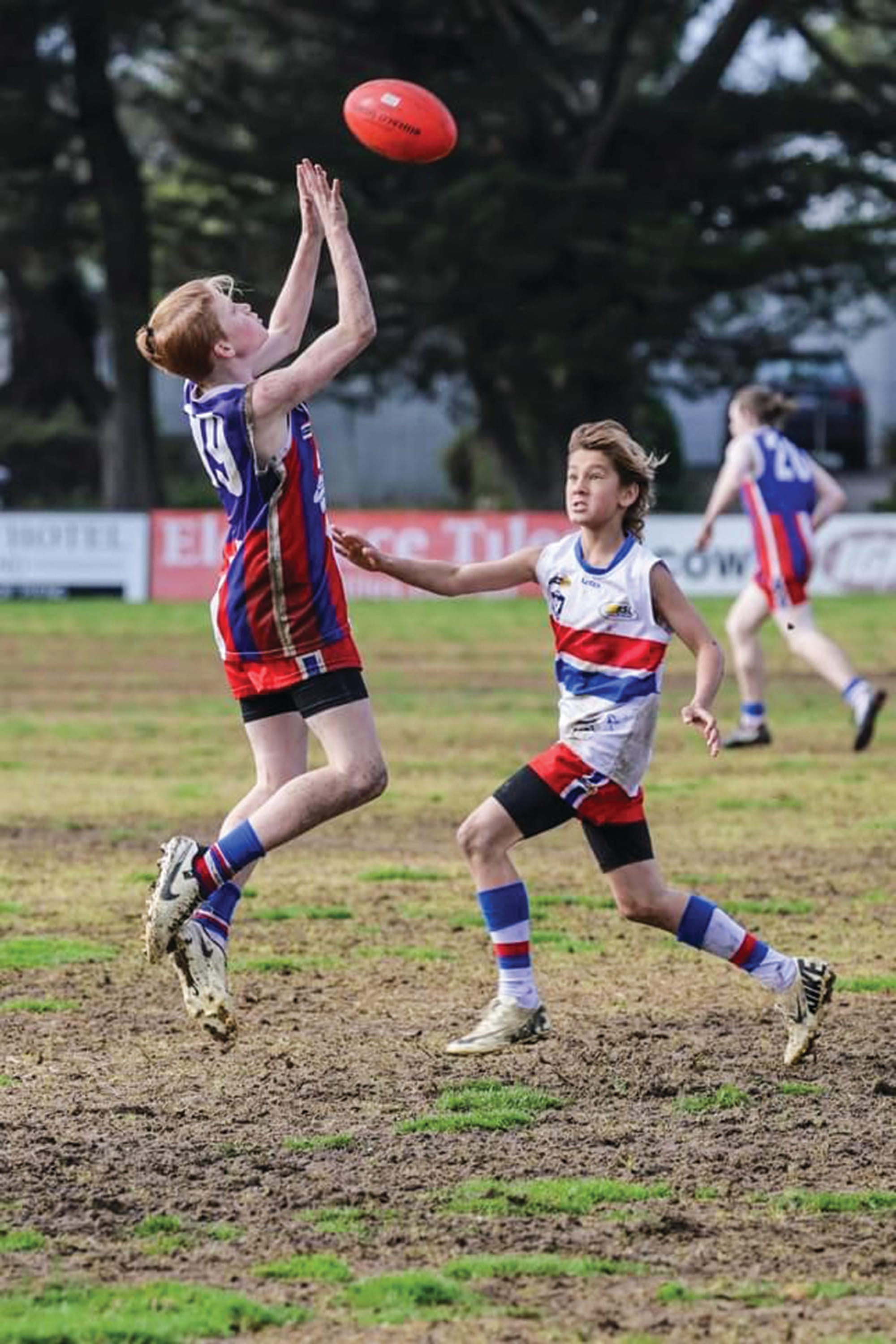 Red and Blue battle at the Kennel