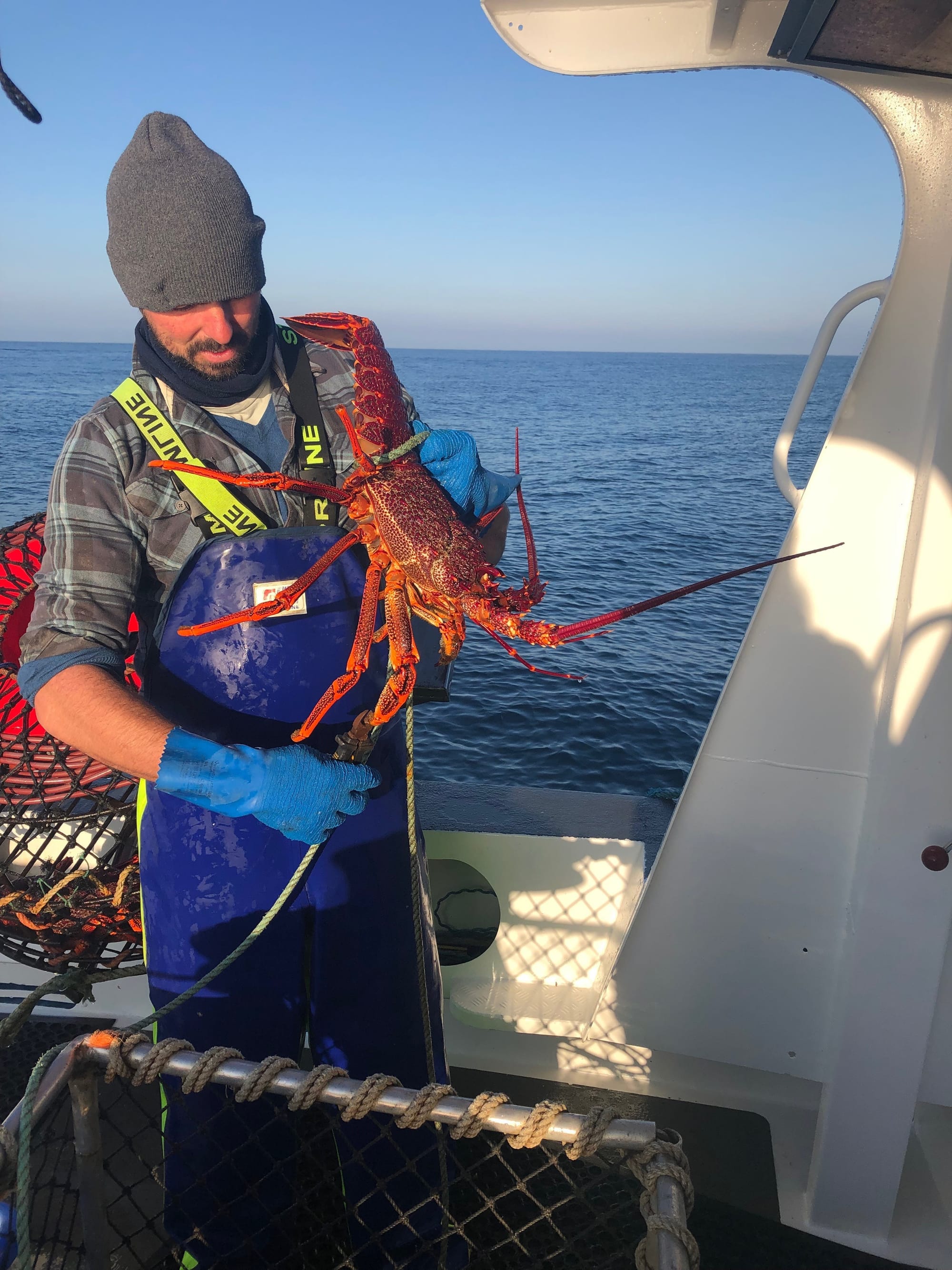State Government cuts risk commercial fishing, exports