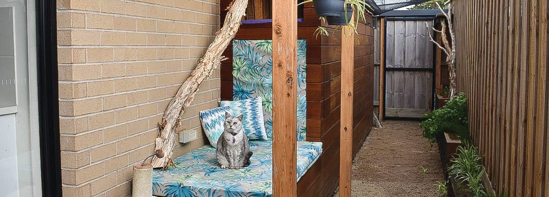 Cat containment in place
