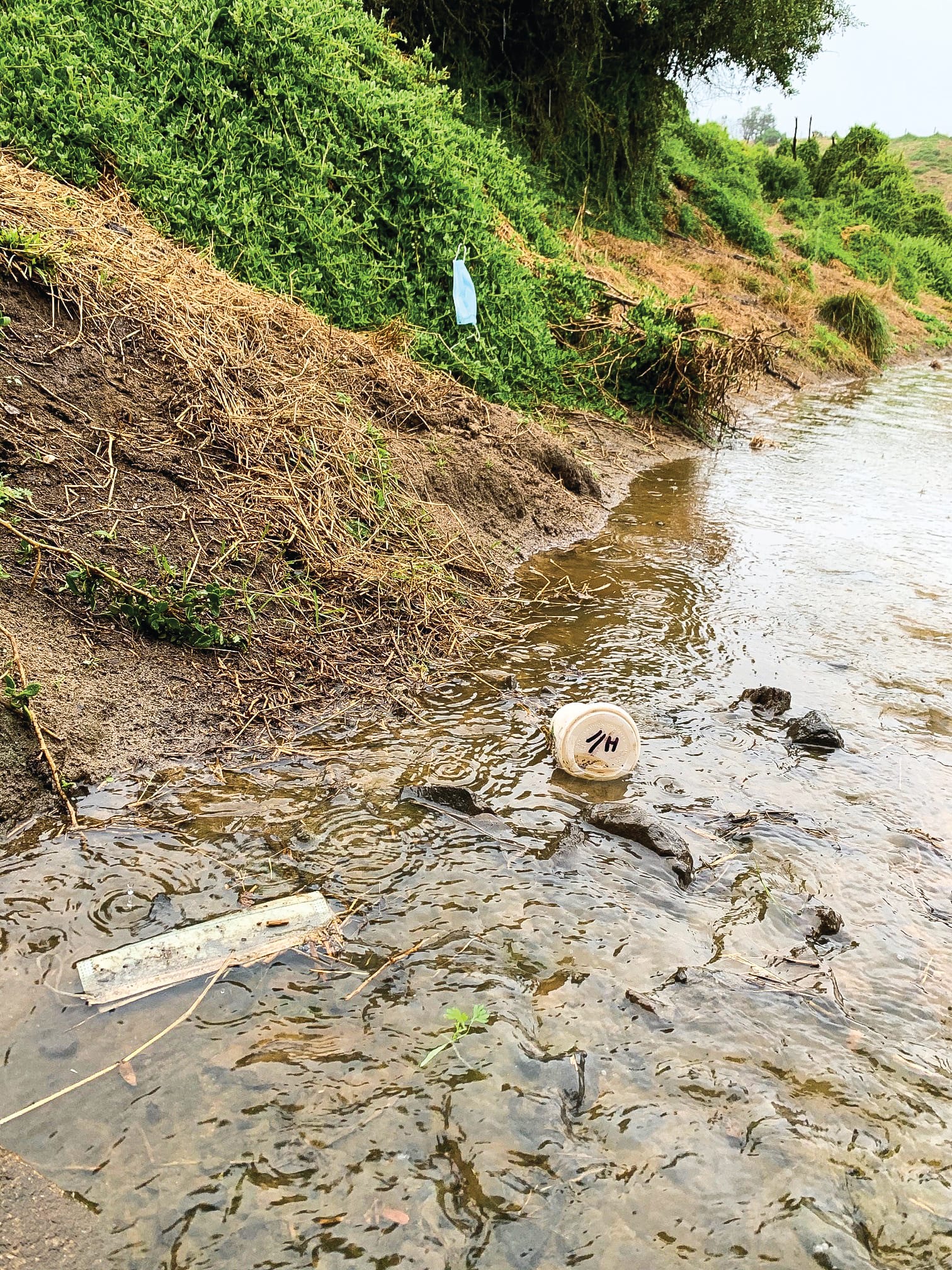 No masking the problem – our wildlife at risk