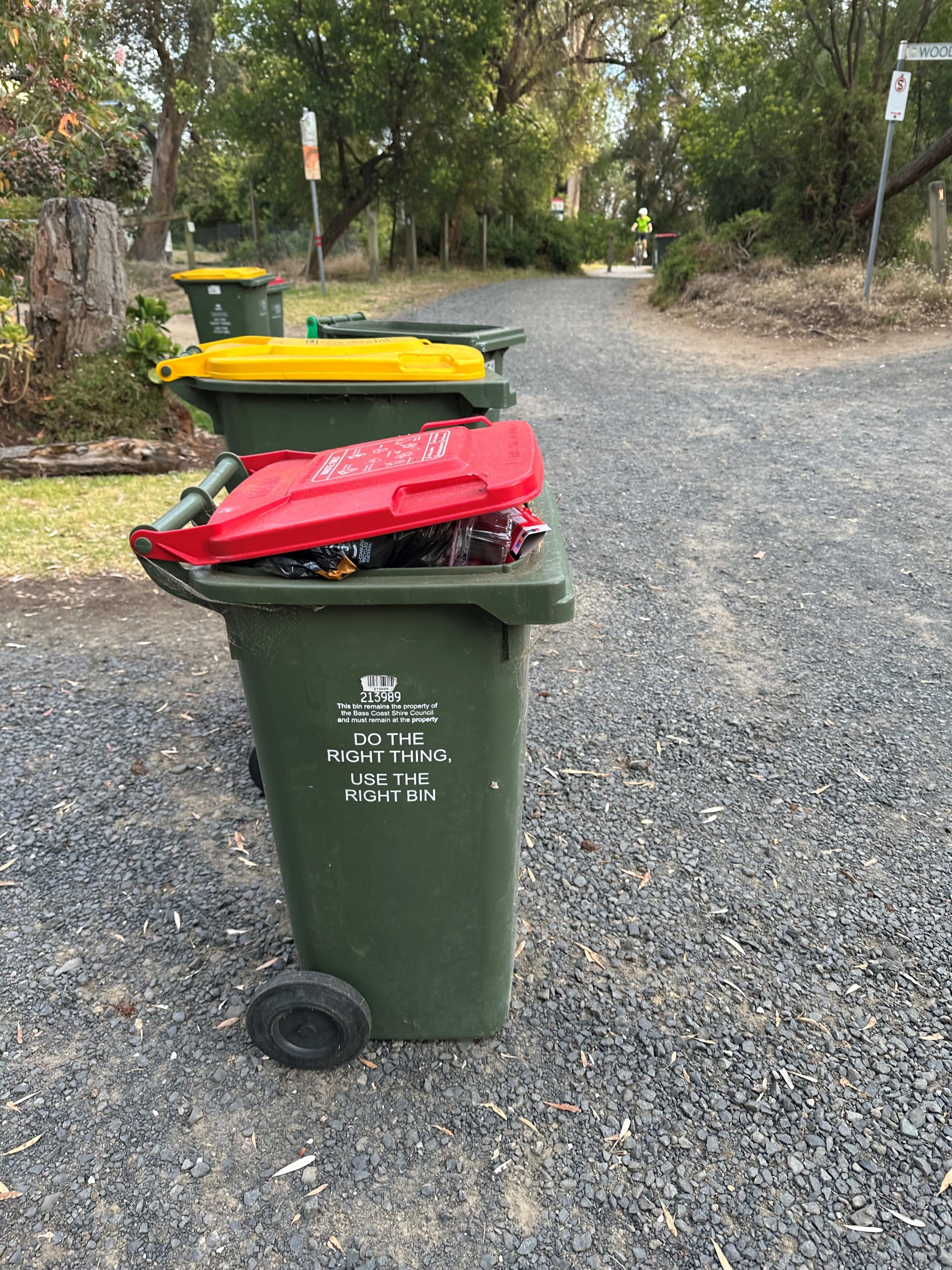Seeing red over red bins