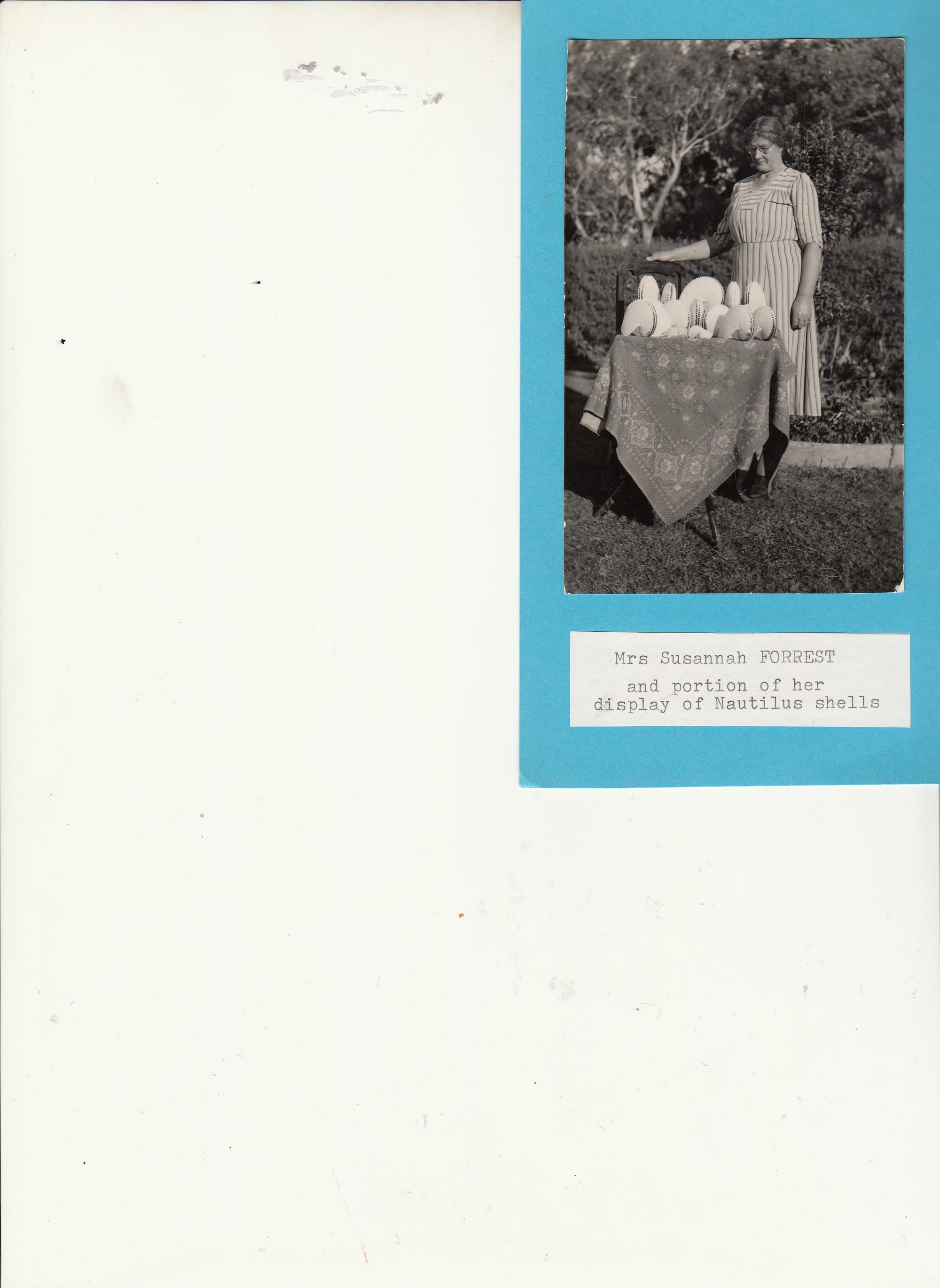 The Forrest Pioneering Family