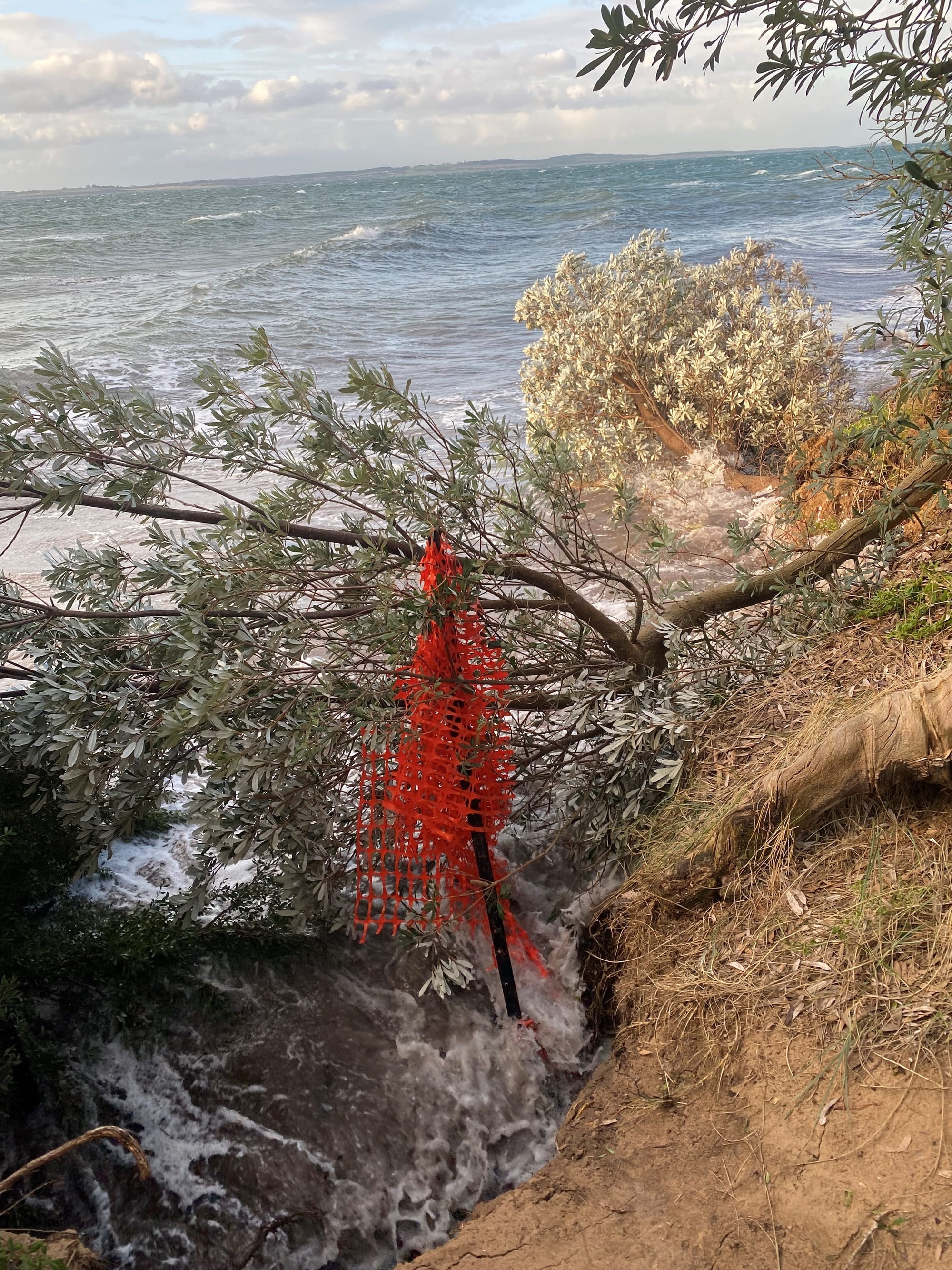Erosion questioned in Parliament