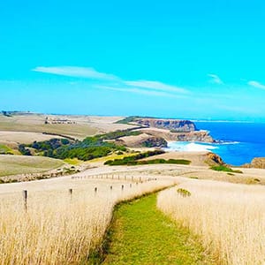 George Bass Coastal Walk