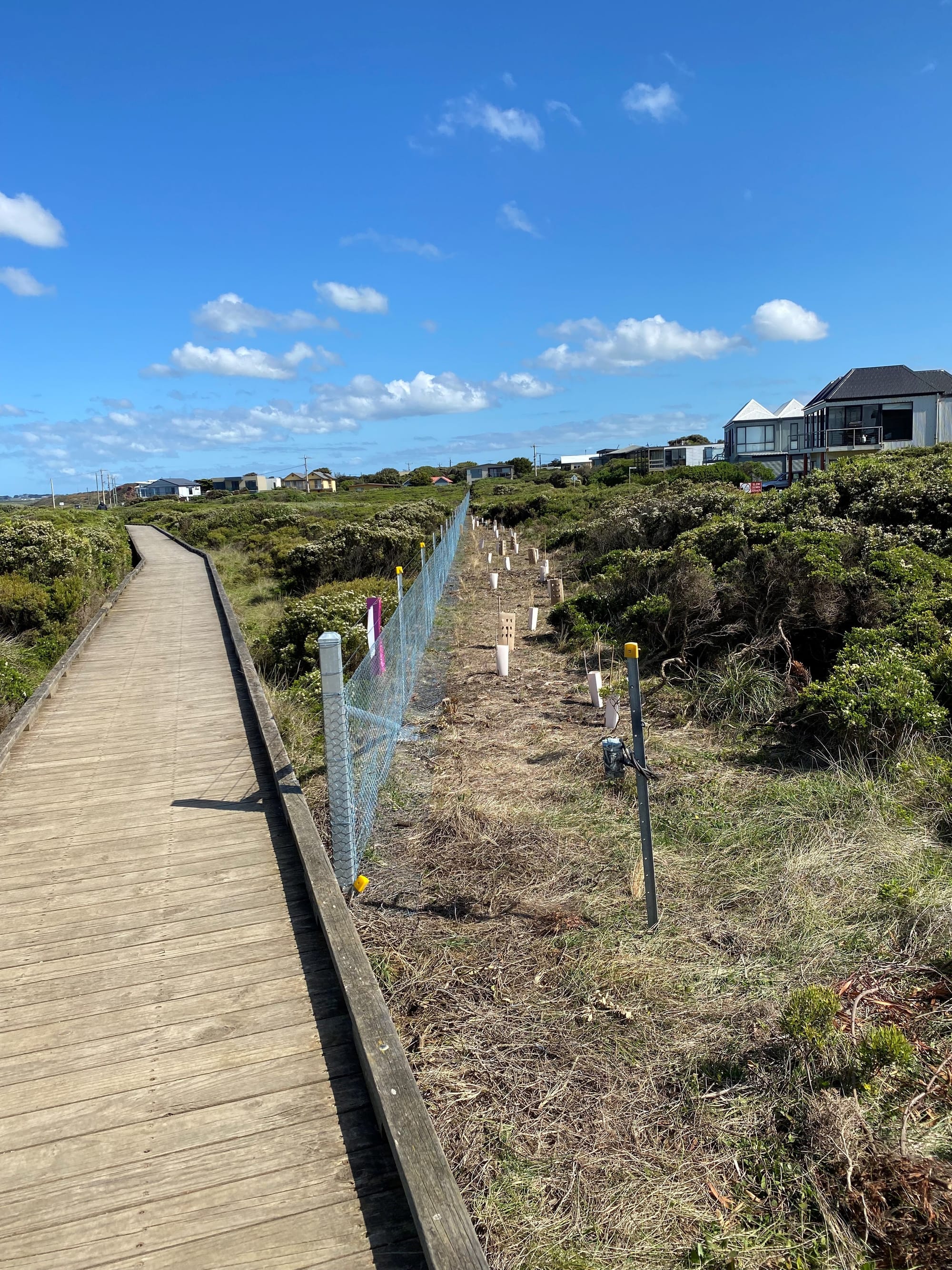 Tracks and trails strategy - priorities for Phillip Island