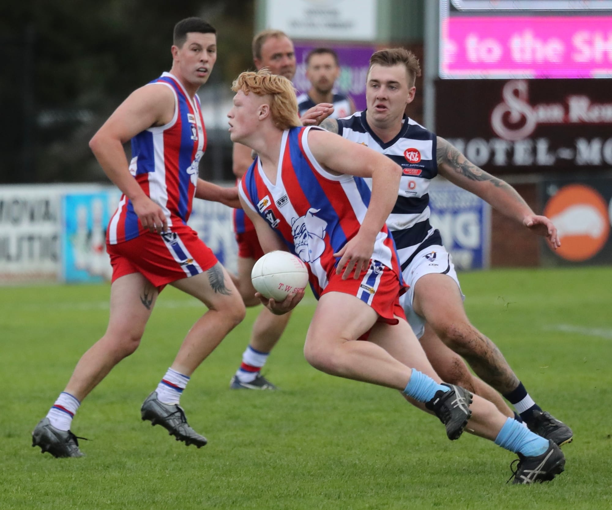 Doggies tied up at the Kennel - Reserves