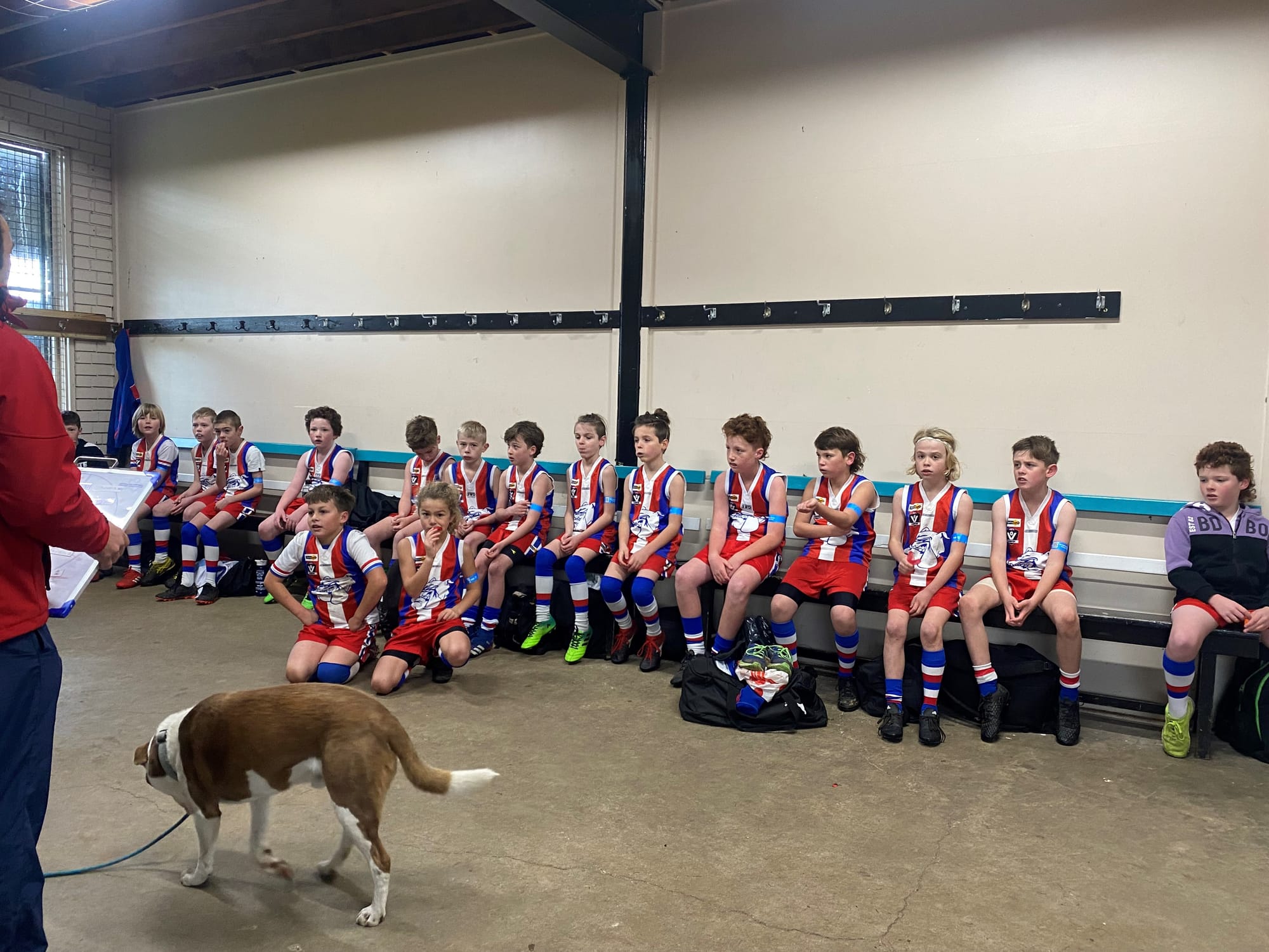 U10s learn some lessons
