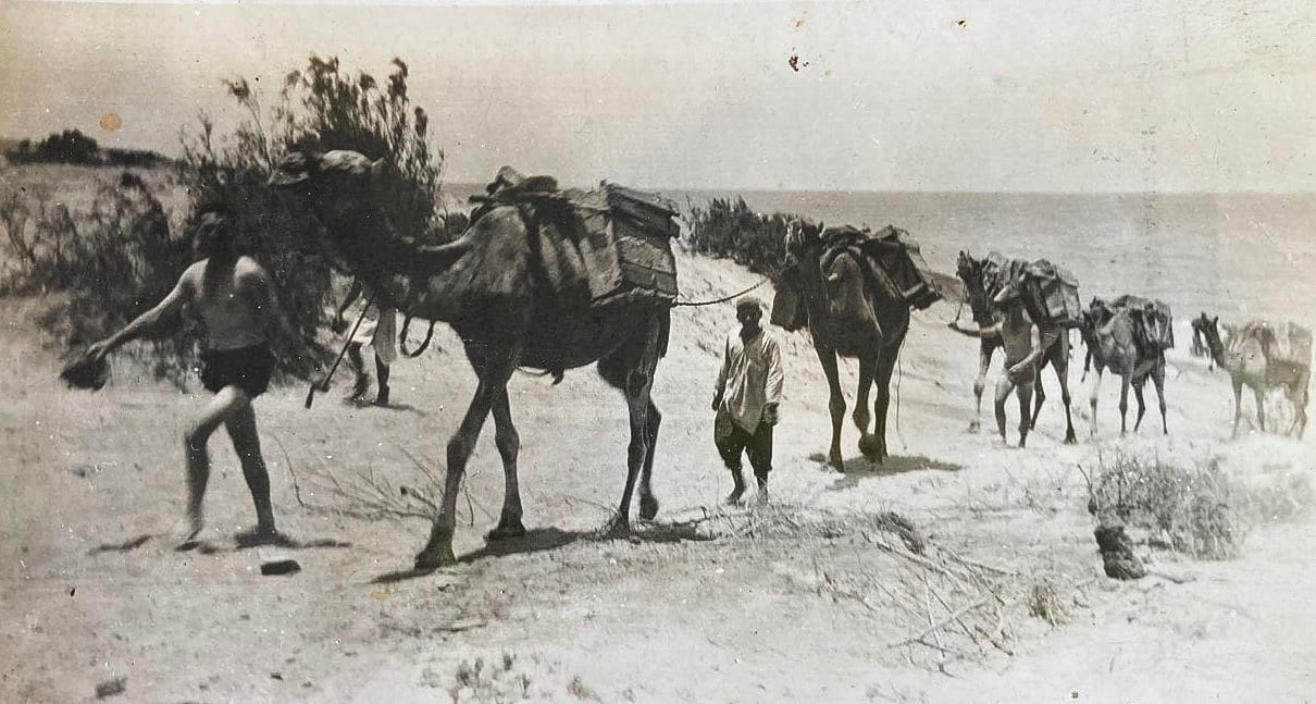 Historical Society’s Second World War project