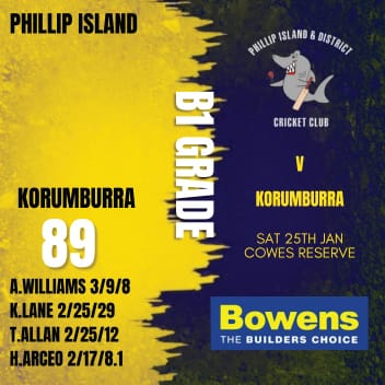 Sharks feast at the Cobra dome