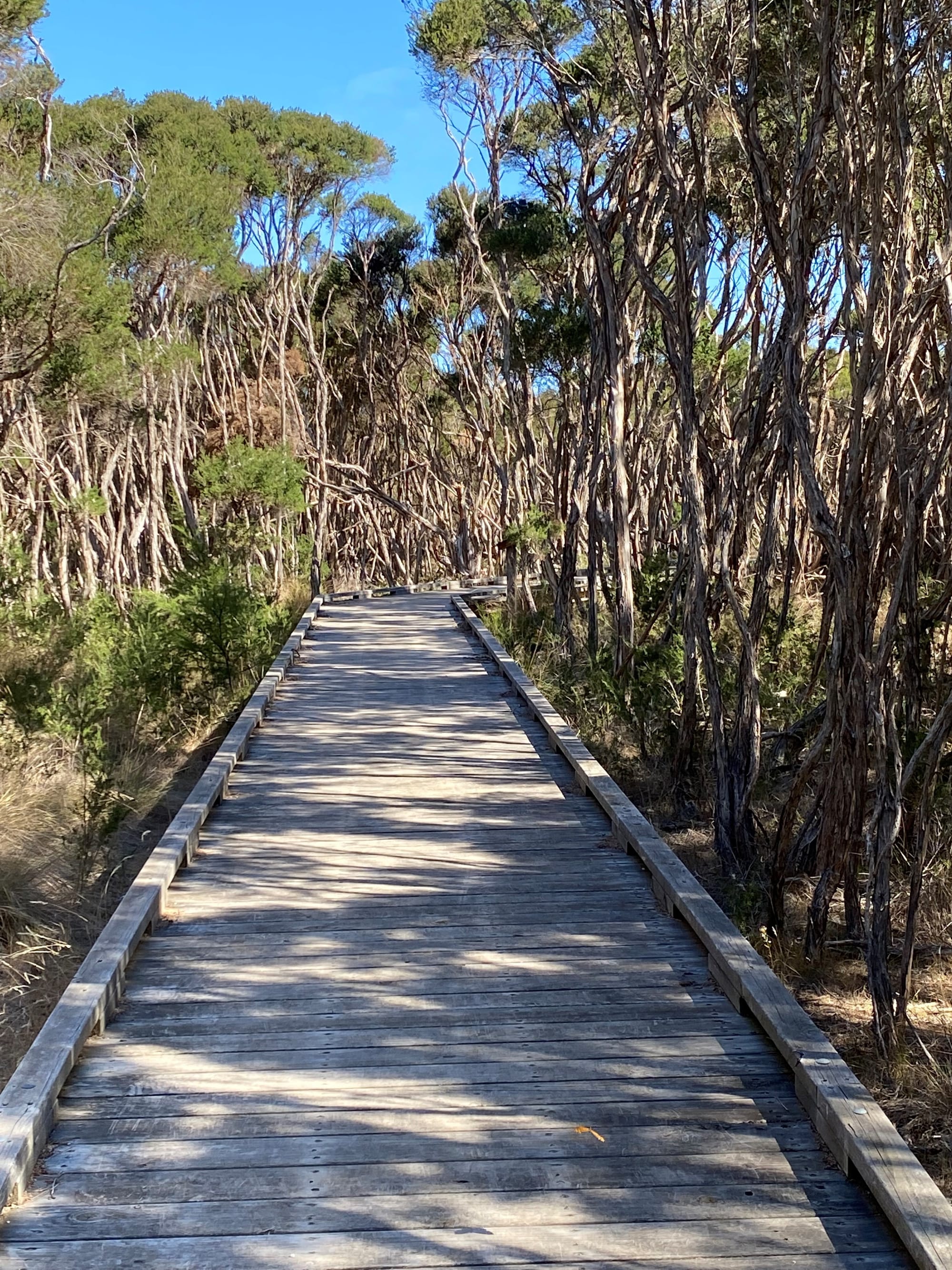 Tracks and trails plan green light, despite debate