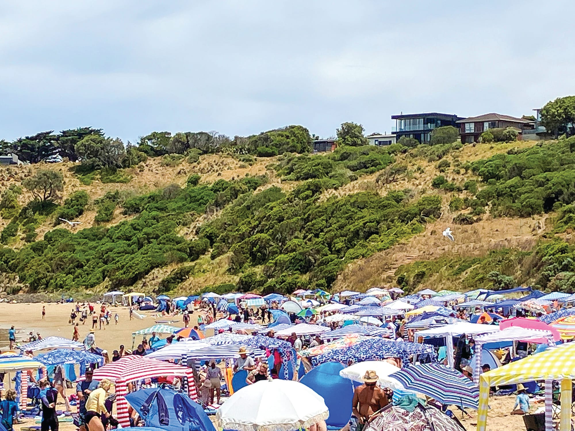 Surf life savers on the go