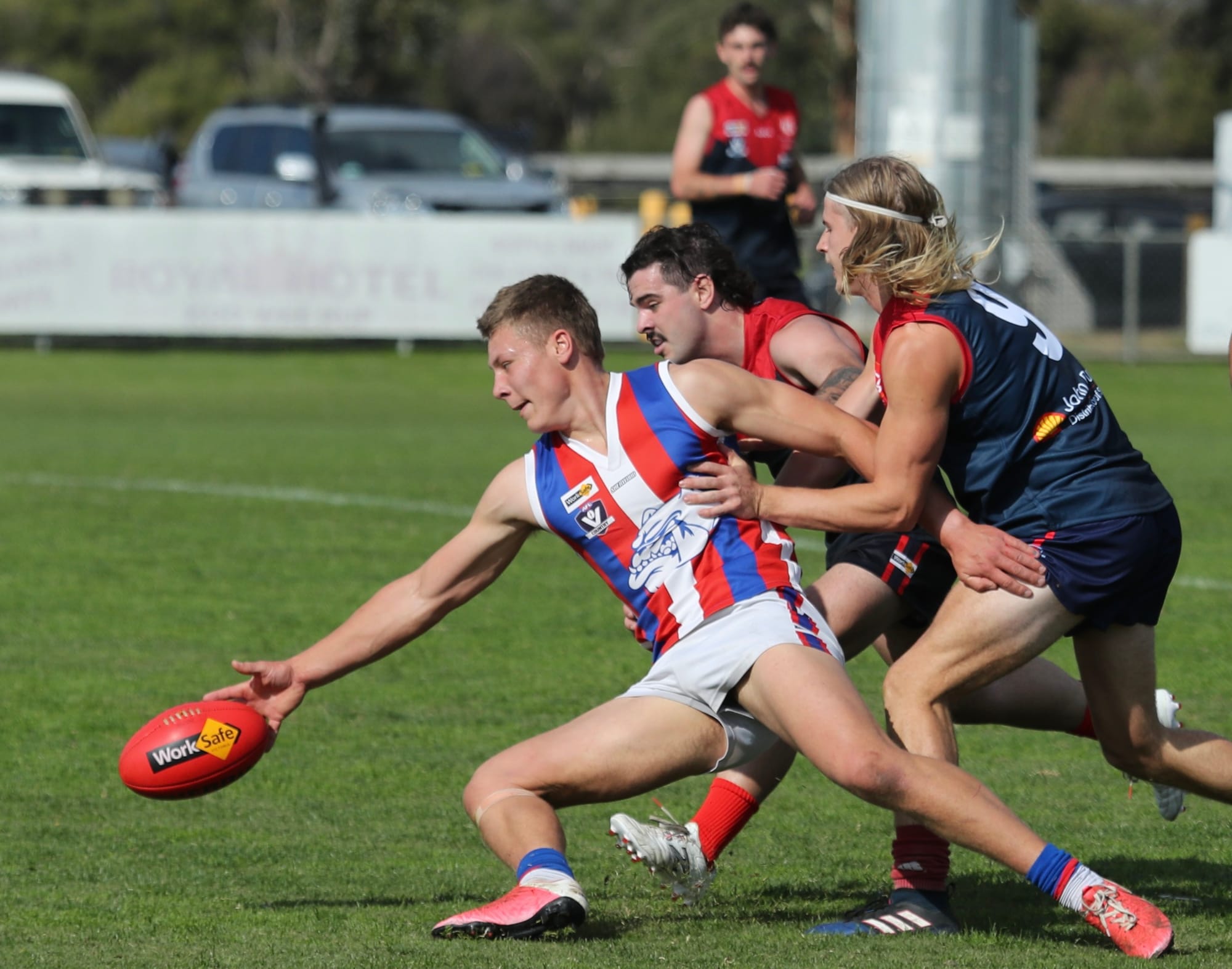 The Island proves too hot to handle for the Demons - Reserves