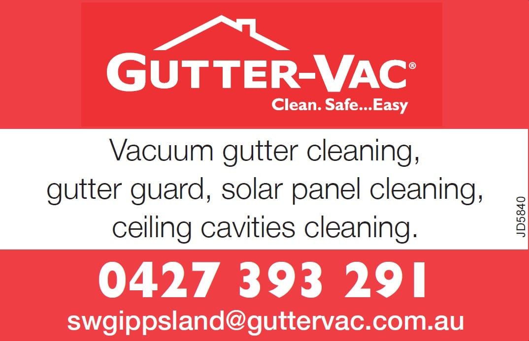 Gutter-Vac