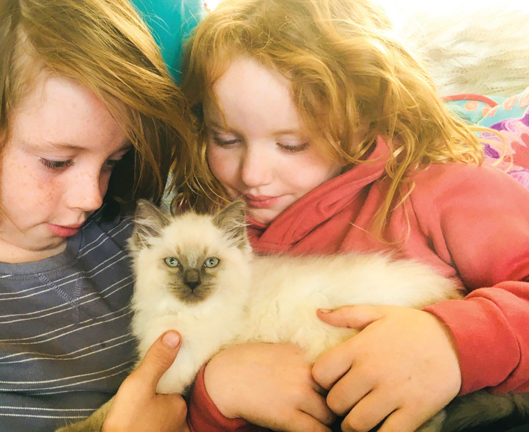 Diary of a family in quarantine #6