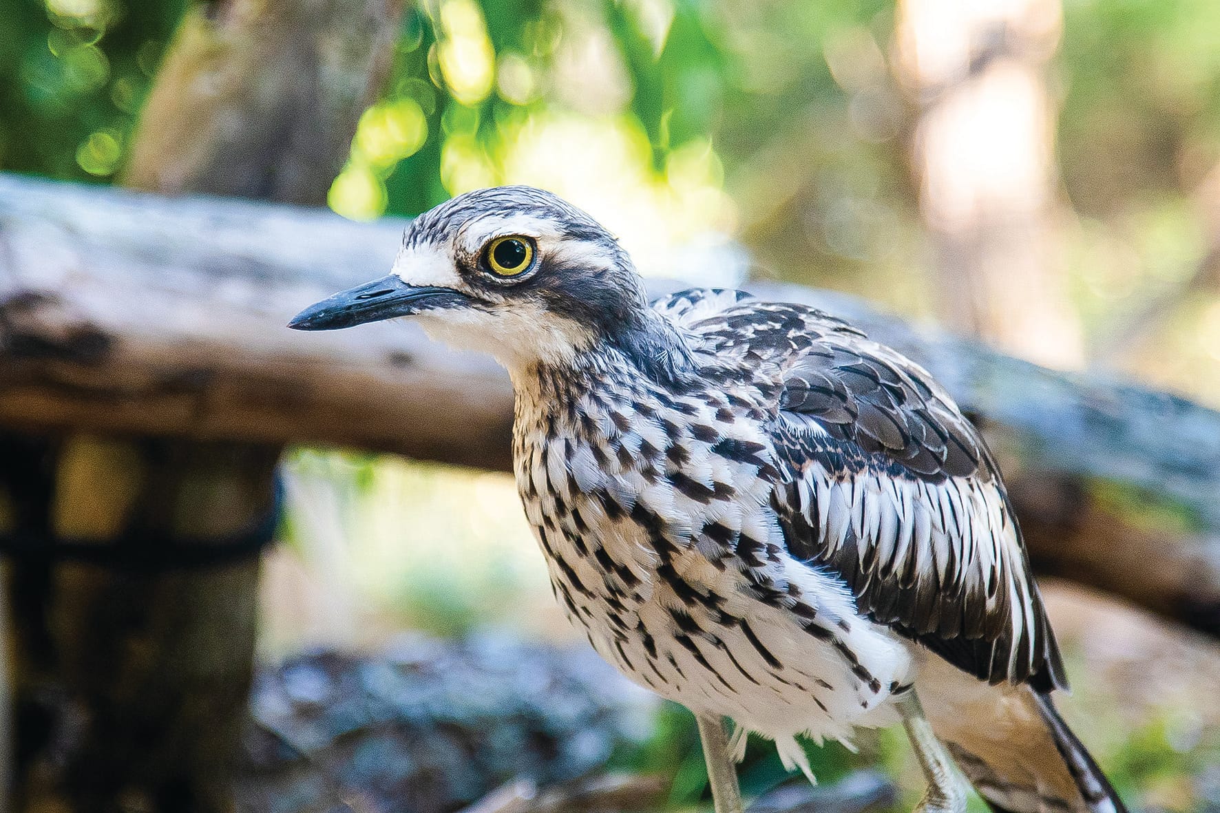 Nature Parks Board Update – December 2023