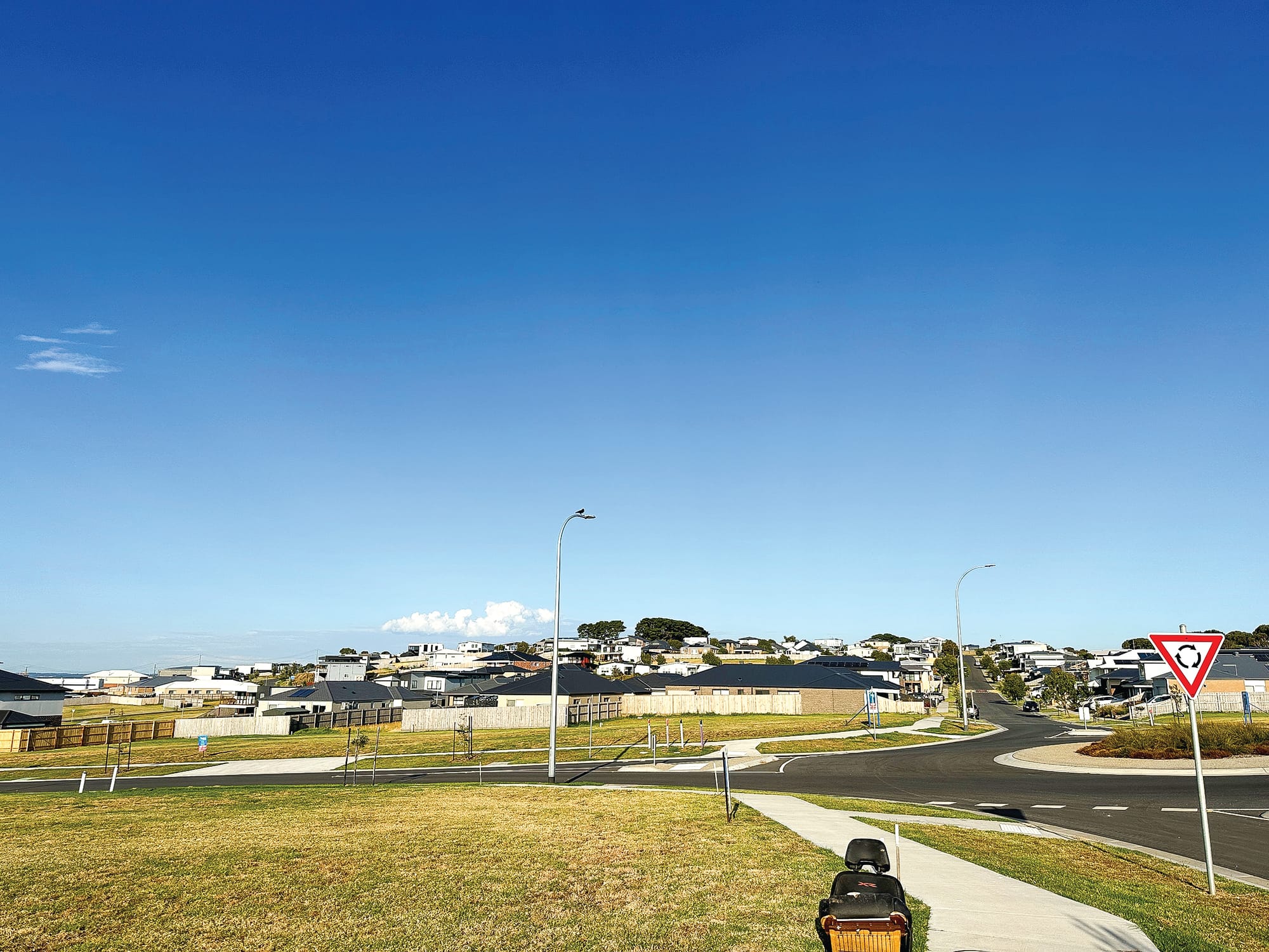 New developments will be required to keep trees and plant more