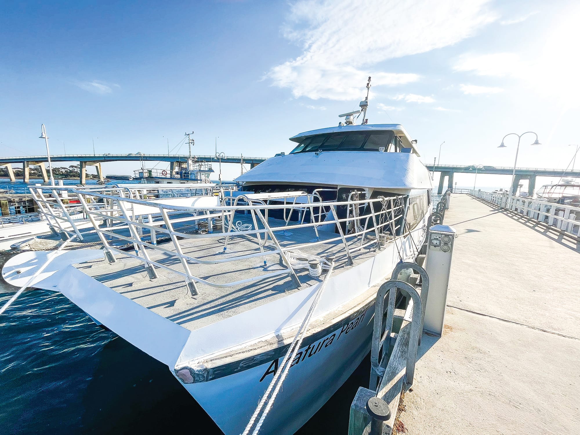 Pearl of the fleet