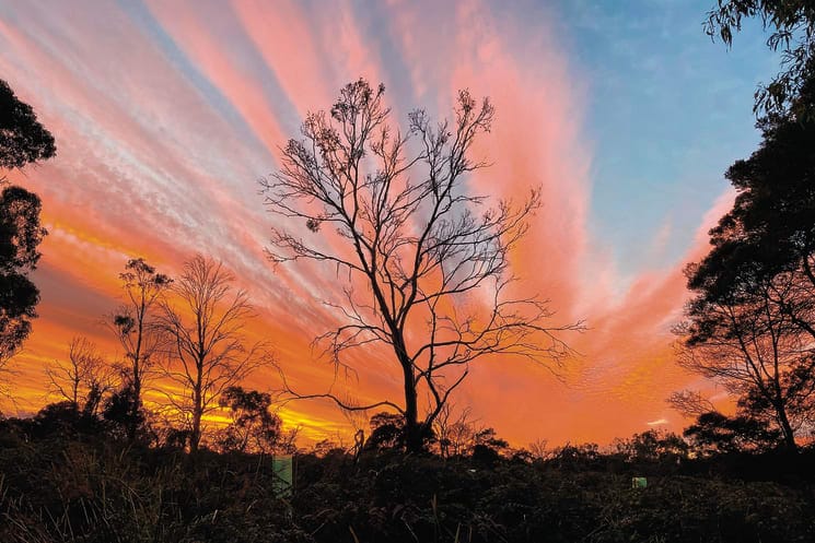 Latest round of Landcare grants announced