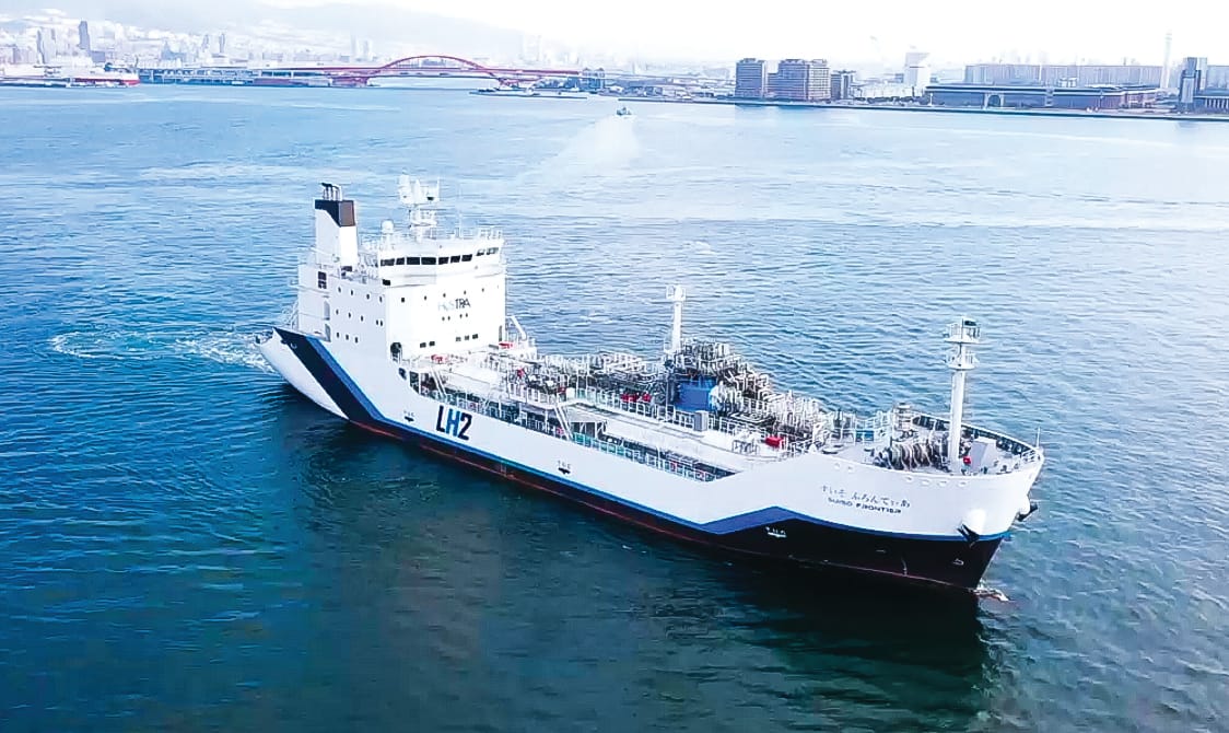 Marine pests would ‘decimate’ Western Port