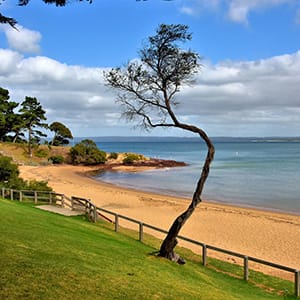 Cowes Front Beaches