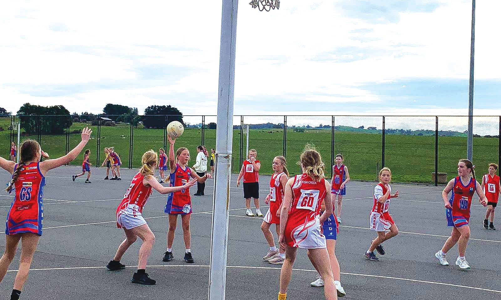 Victories for Island LDNA