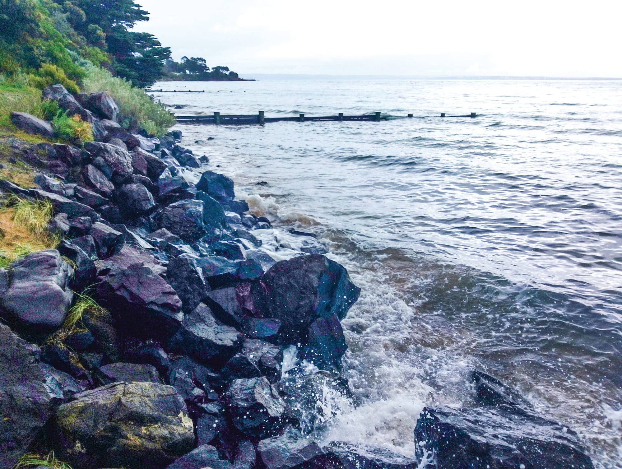 Climate response must be community-wide