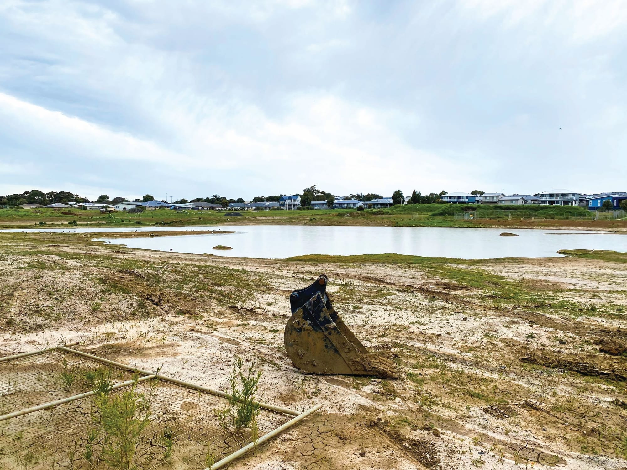 Will there ever be a wetland?