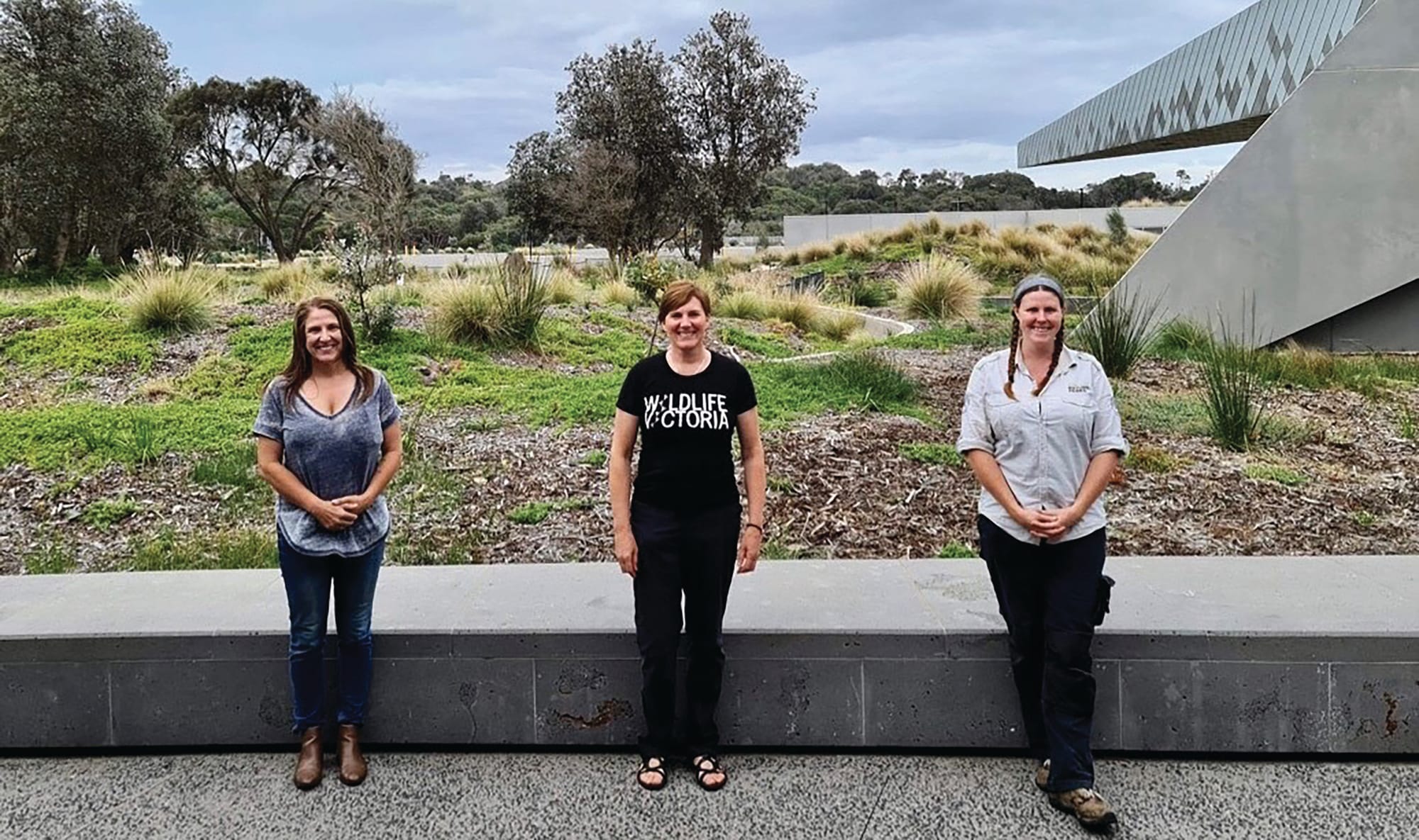 Wildlife volunteers come to the rescue