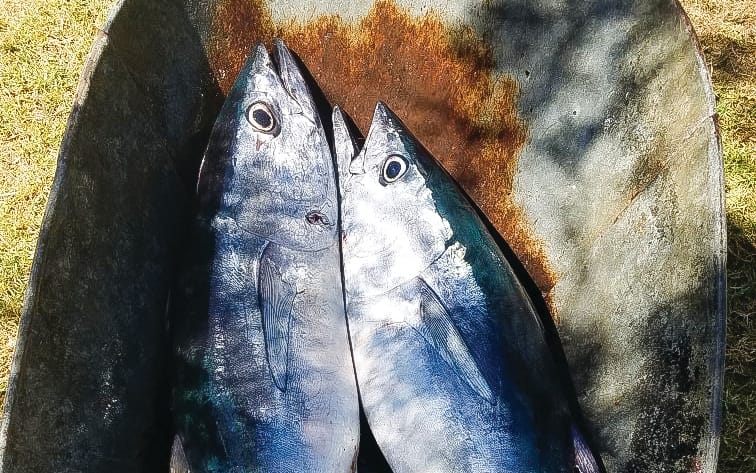 Around the Bay with Jim’s Bait & Tackle