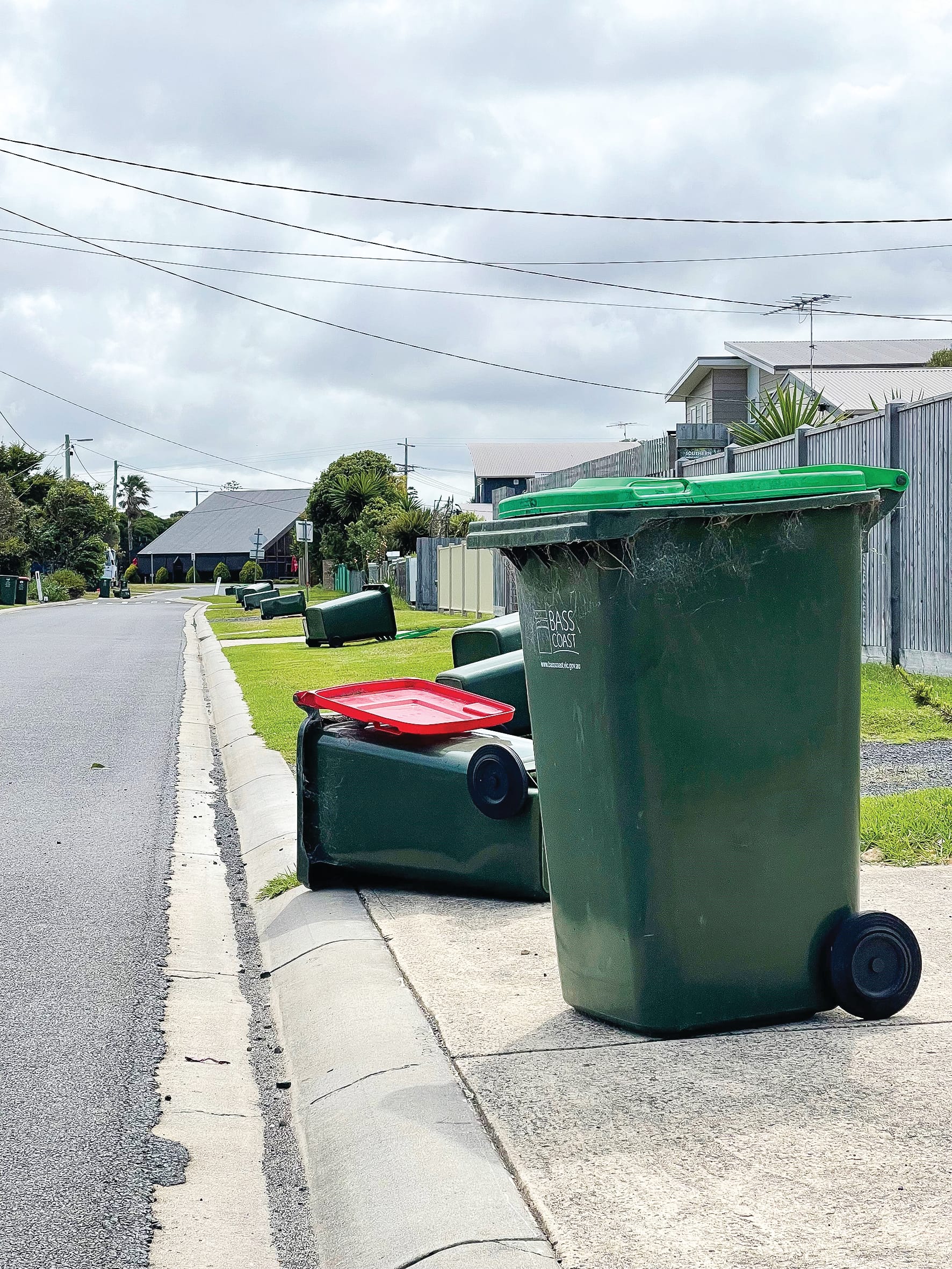 The last bin standing