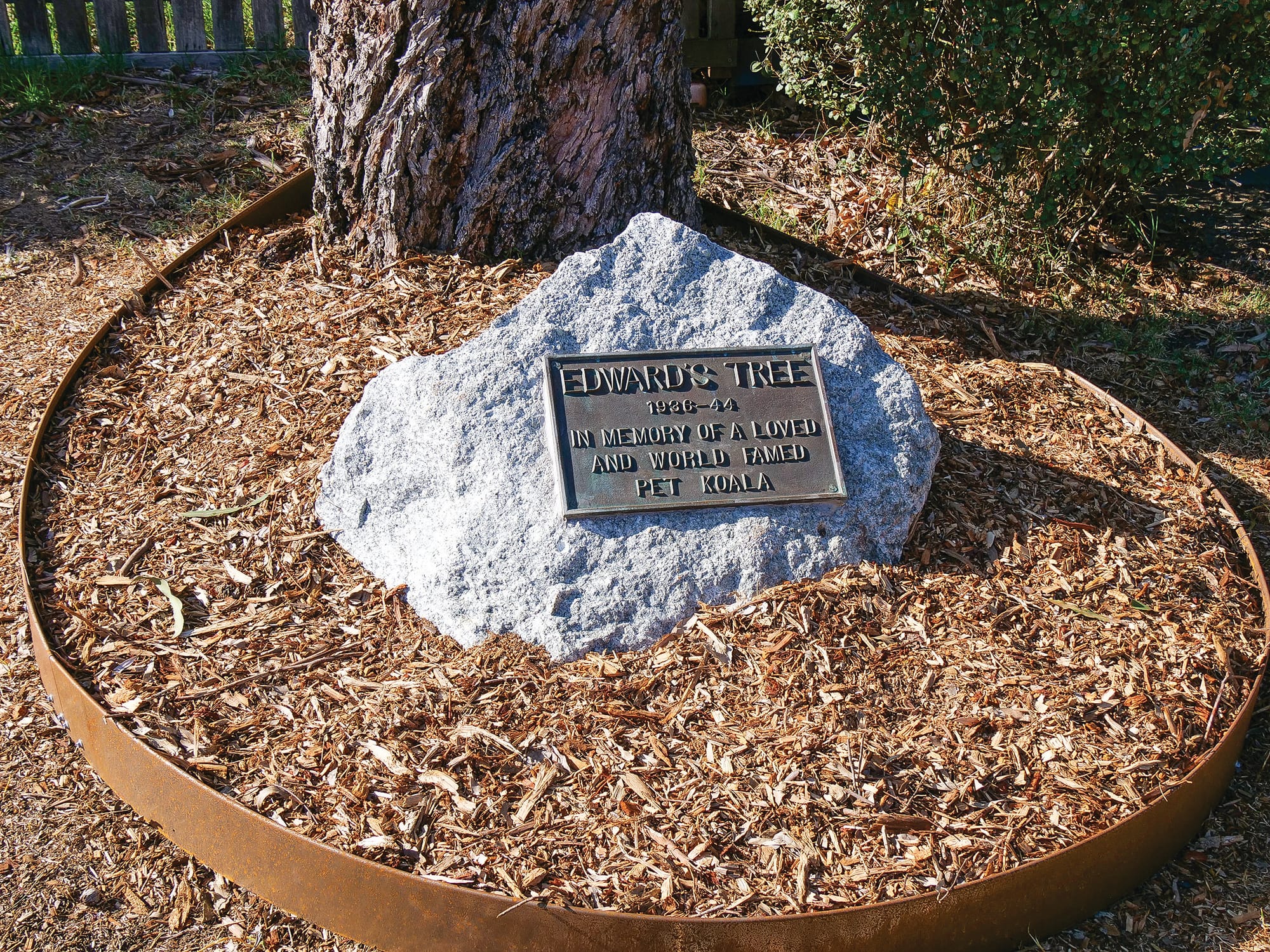 Edward's plaque returns