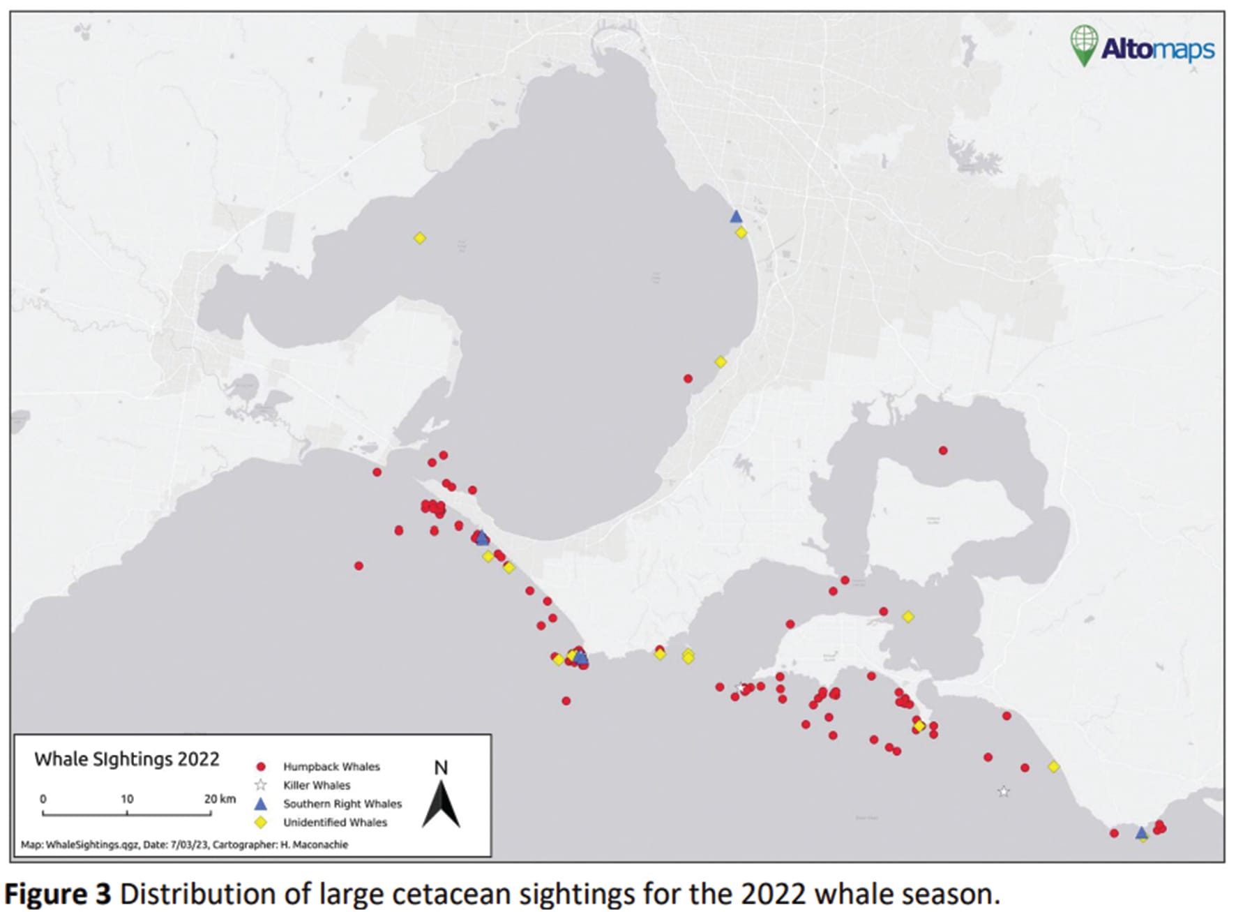 Whale sightings lower than previous years